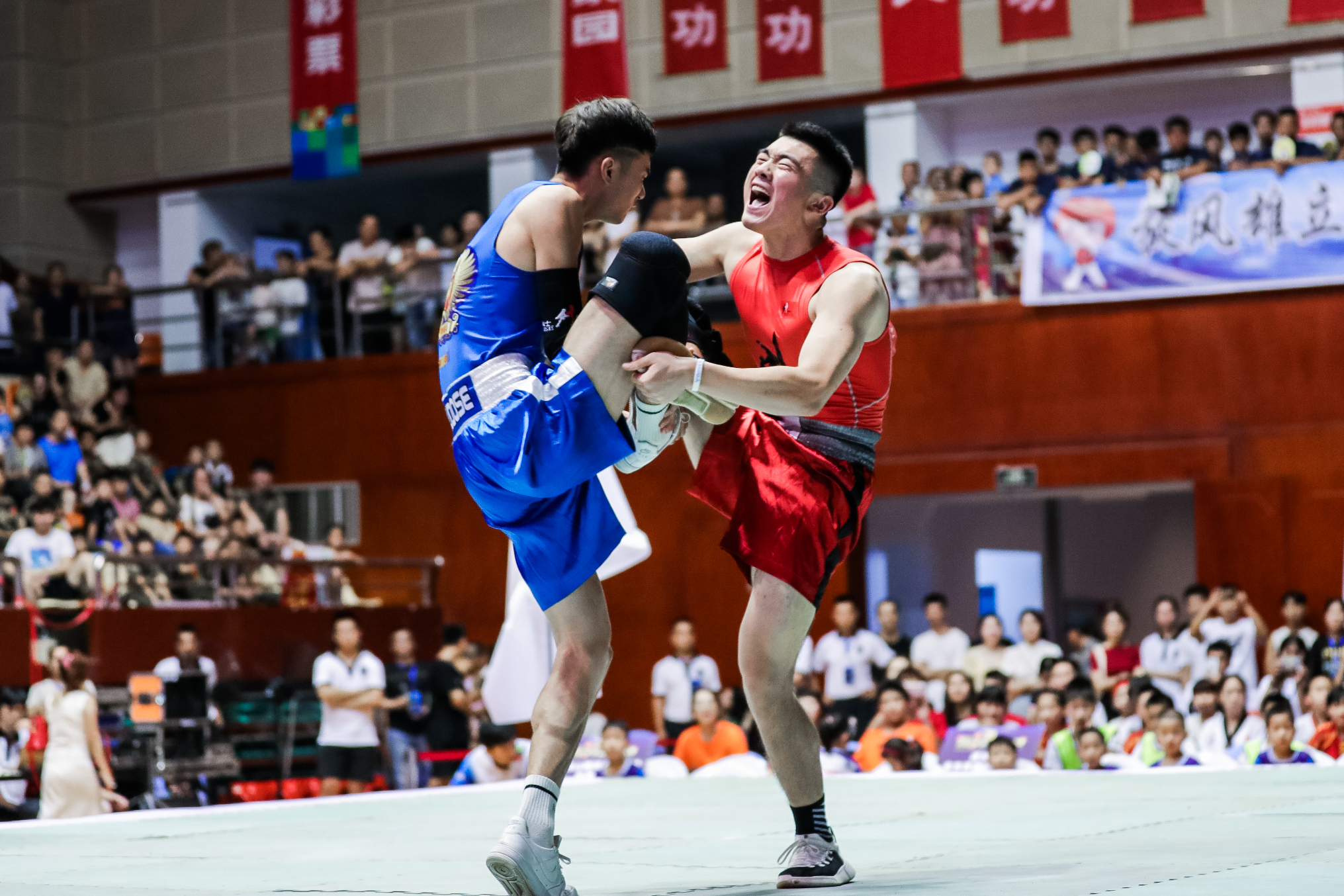 Jowdou cooperation event arena
